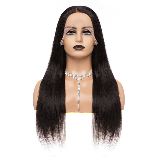 13×4 Straight Texture Glueless Wigs Lace Front Wigs Virgin Human Hair